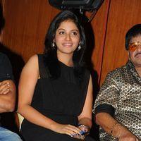 Anjali at Journey Audio Launch Pictures | Picture 127205